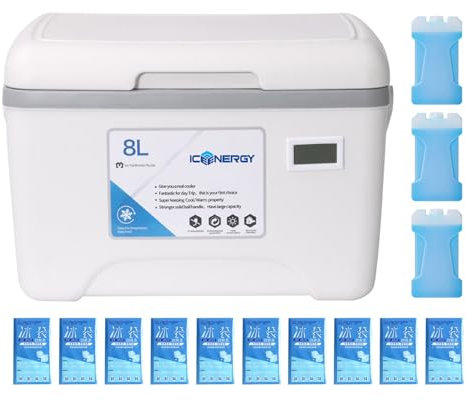 Petite glacière de camping de 8 L avec poignée, affichage de la température, récipient thermique robuste, grande capacité pour jardin, barbecue, camping, sorties à la plage