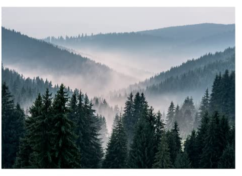 WallArena - Vlies Fototapete Berge Wald im Nebel Landschaft Natur Bäume 416x254 cm - Fototapeten - Tapeten - für Wohnzimmer Schlafzimmer - Vliestapete Wandtapete Tapete 3D Effekt- inkl. Kleister
