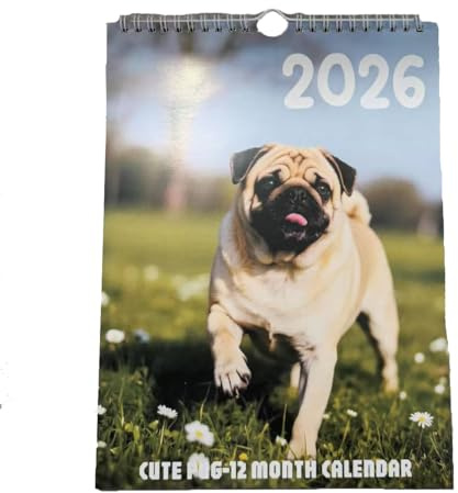Calendario 2026 de perro carlino – Planificador mensual con vista semanal y mensual, enero a diciembre de 2026, fechas etiquetadas en inglés, calendario de bolsillo de borrado en seco