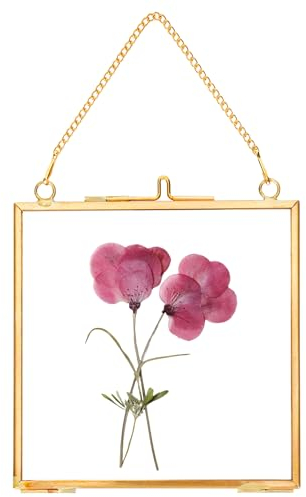 REDHUGO Glass Pressed Flower Frames,Vintage Hanging Picture Frames with Chain,Handmade Brass Floating Picture Frame,Plant Specimen Wall Ornament Display Artwork DIY Family Photo,Square,Gold