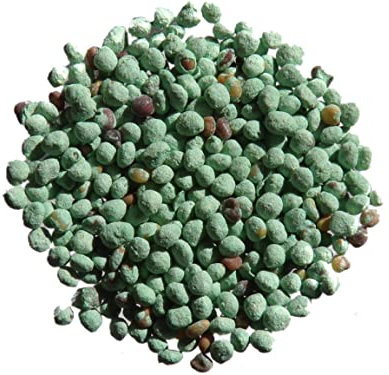 Trèfle Micro Nain (Engrais Vert) SEM14 (Variété : Pipolina (enrobé) 100 grammes)
