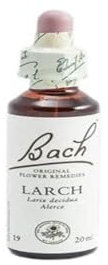 Bach - Flor de Bach Larch, Complemento Alimenticio, con Extracto de Flores de Alerce, Uva de Alc 27% Vol, Ayuda a Gestionar las Emociones Cuando Se Quiere Tener Confianza - 20 ml