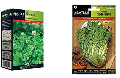Semillas de Césped - Trebol Blanco Enano Repens 250g - Batlle + Hortícolas - Achicoria Diente de León - Batlle