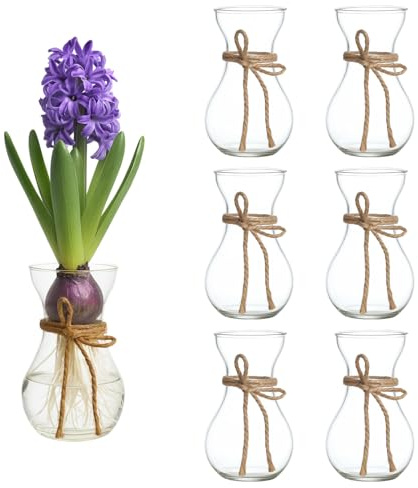CheeryStow 6Pcs Small Glass Hyacinth Vases Set - Clear Mini Bud Flower Vases with Twine Ropes for Home & Wedding Table Centerpieces Decor, Bulb Forcing, Avocado Planting