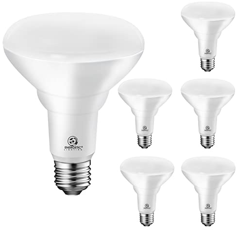 Energetic LED Recessed Light Bulbs BR30, 65W Equivalent, Dimmable, Warm White 3000K, Indoor Flood Lights for Recessed Cans, 6 Pack