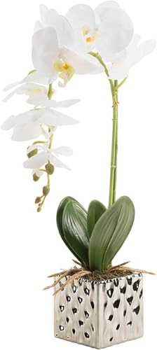 Genérico Flores Artificiales de Orquídeas Bonsái de Phalaenopsis con Maceta Elegante para Decoración Hogar Boda Fiestas, Blanco