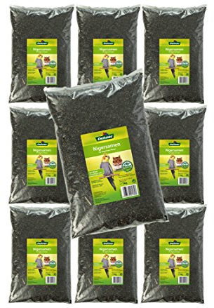 Dehner Vogel- und Nagerfutter, Nigersaat, 10 x 1 kg (10 kg)
