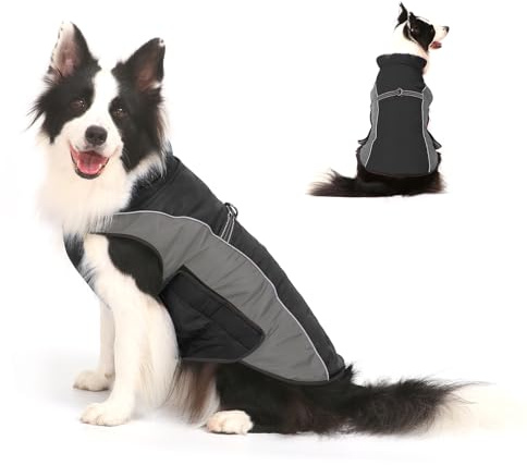 Cappotto per Cani Giacca Calda, Giacca Riflettente per Cani Abbigliamento Invernale Impermeabile per Caldo Gilet Antivento per Animali Domestici Costume per Canis di Piccola Taglia Media