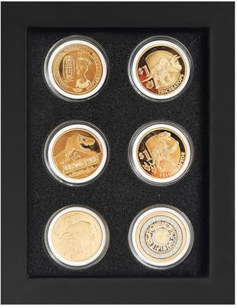 Expositor de monedas de desafío, vitrina de monedas, caja de exhibición de fichas de casino, caja de exhibición de monedas de 6 monedas, soporte de exhibición de monedas de desafío militar, marco de
