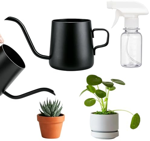Indoor Watering Can Set, 250ml Black and 150ml Transparent Mini Watering Cans for House Plants, Desk Plants, and Small Gardens, Precise Watering with Long Spout
