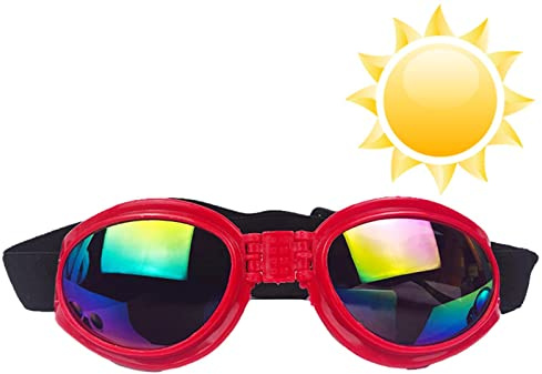 Gafas para Perros | Gato | Gafas cómodas para Perros Raza pequeña protección UV Gafas antiviento antiniebla para Perro Pacienjo