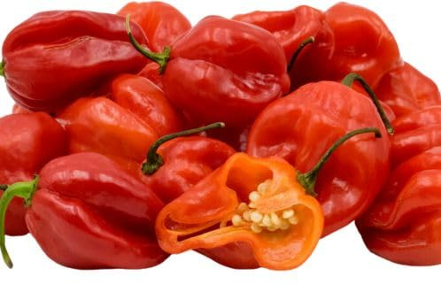 Fresh Red Scotch Bonnet Pepper I Hot & Flavorful I Authentic Caribbean Heat I 1KG