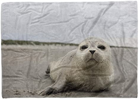 Handtuch Strandhandtuch Saunatuch Kuscheldecke mit Tiermotiv Robbe am Strand Größe 180 x 130 cm (Tagesdecke - Sherpa Flies)
