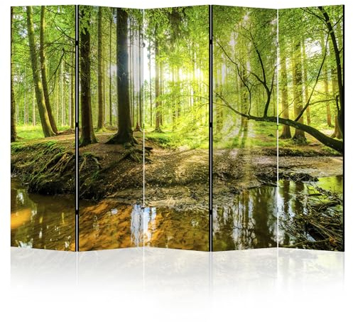 LUMASOUL Biombo Separador de Ambientes Doble Cara - Separadores Ambientes - Naturaleza Motivo - Biombos 225 x 172 cm
