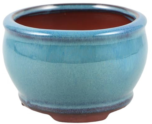 BESPORTBLE Maceta Decorativa De Cerámica para Cactus y Suculentas para Escritorio y