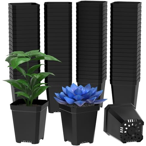 100 Stück Plastik Anzuchttöpfe 5.5 CM, Kunststoff Anzuchttöpfe Eckig, Pflanztöpfe Anzucht mit Mehrere Ablauflöchern, Kleine Blumentöpfe Pflanztopf für Sukkulenten, Gemüse, Stecklinge, Umpflanzen