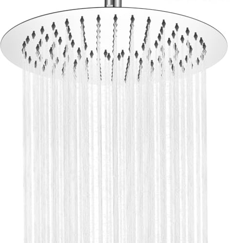 Auralum Rociador Ducha Ø30 cm Redondo, Cabezal Ducha lluvia de Acero Inoxidable 304, Alcachofa de Ducha Grande con Giratorio 360°, Autolimpiables/Antical, Cromado