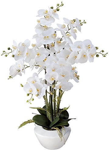 Dahlia Studios Potted Faux Artificial Flowers Arrangements Realistic White Phalaenopsis Orchid in White Ceramic Pot for Home Decoration Living Room Office Bedroom Bathroom Kitchen 29 High