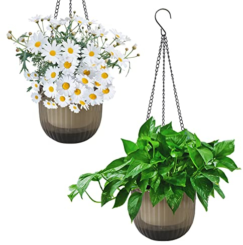 YuanDiann Juego de 2 macetas colgantes con cuerda de algodón autorriego, macetas colgantes para plantas interiores, exteriores, gris, diámetro 11,3 cm x 11,5 cm