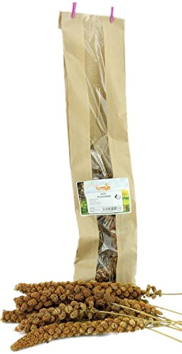 Getzoo Lot de 5 millet rouge à piston - Alternative délicieuse pour rongeurs - Frais d'Allemagne - Riche en vitamines et fibres - Favorise la santé dentaire
