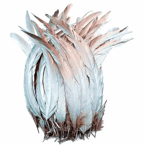 100 pièces d'or, d'argent, de plumes de poulet, d'artisanat décoratif, de vêtements, d'accessoires de mariage DIY for poules et coqs dorés(Silver.,30-35cm 12-14inch)