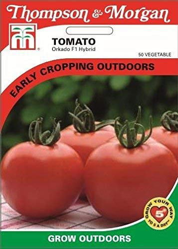Thompson & Morgan - Vegetables - Tomato Orkado - 8 Seed