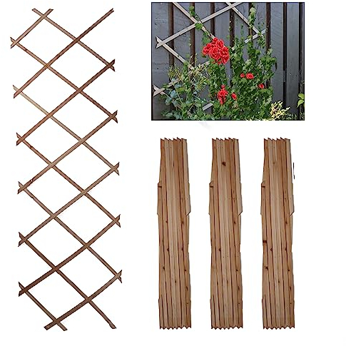 DIVCHI Wooden Trellis Expandable Garden Wall Trellis For Climbing Plants Decoration & Plants Partitioning (Pack Of 3) (180cm x 60cm) (Natural Wood)