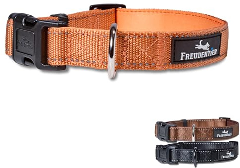 FREUDENTIER Hundehalsband - weich gepolstert mit Neopren, reflektierend & robust - Halsband Hund für kleine, mittelgroße & große Hunde (Sunset Orange, 30-40CM)