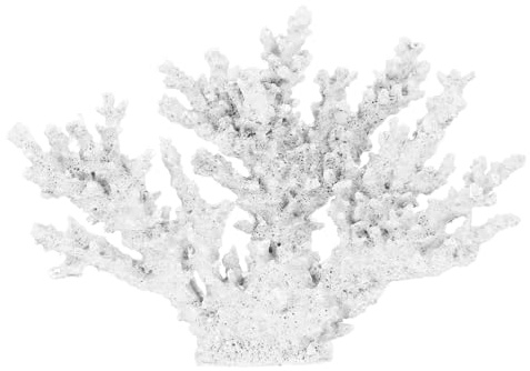 Ciieeo Ornamento Di Corallo in Resina Bianco 13.39X9.45X1.57In Scultura Decorativa Da Scrivania Per Soggiorno Camera Ufficio Elegante Figurina Arredamento Interni