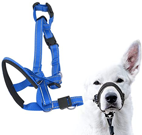 Cocoarm Collare per Testa per Cani, Cavezza Regolabile per Cani in Nylon Traspirante, Fascia Bocca Comoda per Controllo del e Prevenzione della Tirata (L)