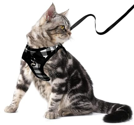 Cat Leashes and Harnesses for Walking,Breathable Soft Kittens Vest for Cats Dogs, Kitten Harness Escape Proof with Bell and Bow-Knot Decoration Christmas (Black-White, L)