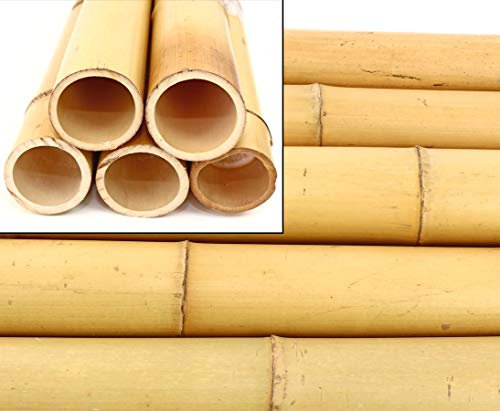 1 Tube de Bambou 200cm Moso Blanchi avec Un diamètre épais de 8-9cm - Tige de Bambou jaunâtre 2m de Long