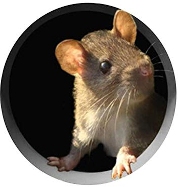 Akemaio 5PCS Lustige Mauseloch Abziehbild-Kunst-Aufkleber Mauseloch Wandtattoo-Maus-Wand-Aufkleber Lovely Home Küchen-Dekor