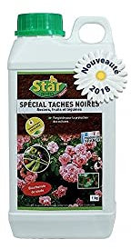 Star Jardin speciale macchie nere: Rosiers, No Color