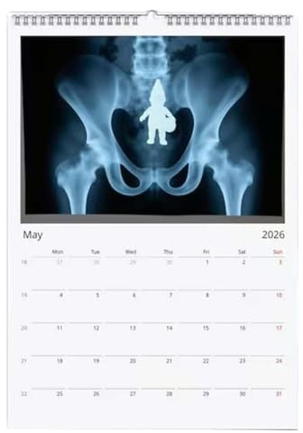 Calendario da parete 2026, divertente agenda familiare di 12, calendario mensile 2026, da parete, per, caregiver, studenti, casa, camera da, scuola, ufficio, appartamento