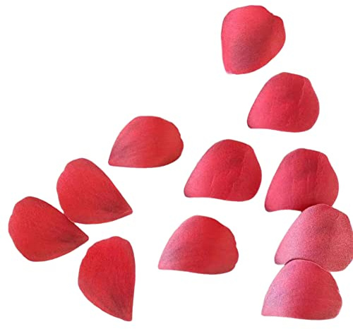 Katutude Fleurs Comestibles, 250pcs Petales de Roses Décoration Comestible pour Gâteau, Décoration Gâteau Anniversaire, Fleurs Comestibles Cupcake Toppers pour Fête d'anniversaire de Mariage