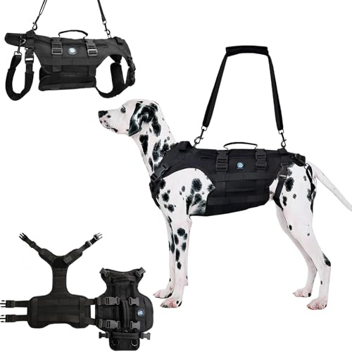 KAJILE Imbracatura Tattica Integrale Per Cani,Nero,S