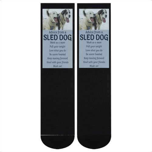Sled Dog Racing Socks - Advice from a Sled Dog Crew Socks for Mushers, Husky Owners, and Winter Athletes
