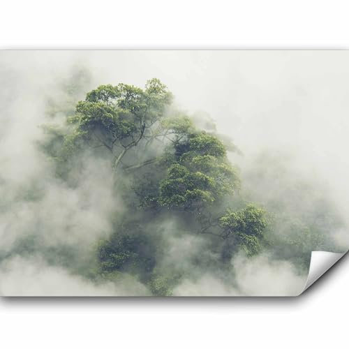 murando Fototapete Premium-Vlies Wald im Nebel 350x256cm Foto Tapete Schlafzimmer Wohnzimmer Vliestapete XXL Motivtapeten Bildtapete 3d Effekt Wand Dekoration Flur Natur Baum Wolke Landschaft