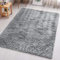 Aspire Homeware Rugs Living Room - Grey Area Rugs for Bedroom Anti Slip - Super Soft Fluffy Large Shaggy Rug Thick Pile Non Shedding, 80cm x 150 cm