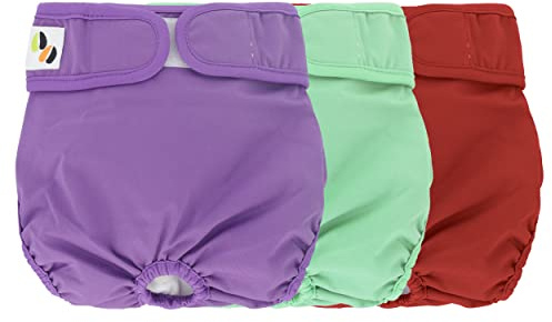 Pañales Reutilizables para Perros JM – Interior Altamente Absorbente, Transpirable y Exterior Impermeable – Paquete de 3 Extra Pequeña (Se Adapta a Cachorros recién Nacidos) Multicolor