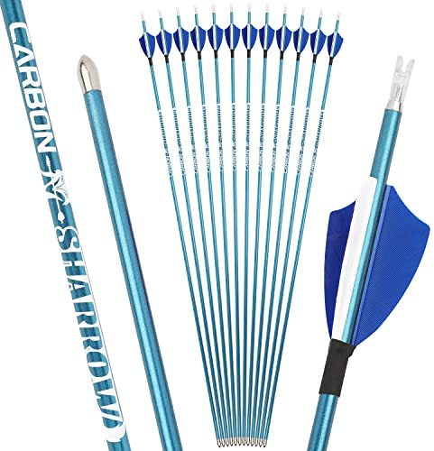 HNZMDY Bogenschießen Carbonpfeile 4.2mm Jagdpfeile 400-1000 Spine Bogenpfeile Wettbewerb Pfeile Pure Carbon Schaft für Recurve Compound Bogen 12pack (Blau, 400spine)