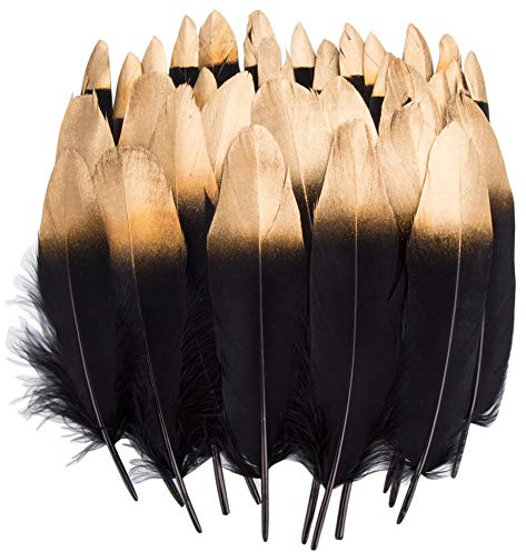 Vidillo Bunte Federn, 40 Stück Gold/schwarz getauchtes natürliches rot/Schwarz Gänsefedern, ideal als Dekoration zum Karnival für Halloween Fest Masken, Kostüme und Basteln für Kinder