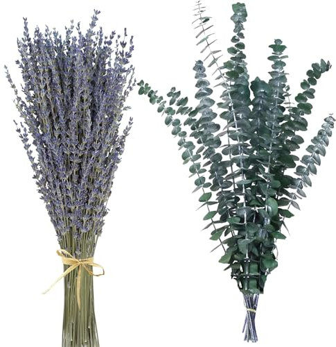 Lavender Bundles&Eucalyptus Stems 17 Natural Fresh Green Eucalyptus Plant Made from Real Eucalyptus Leaves Branches for Flower Arrangement, Wedding,Home,Office