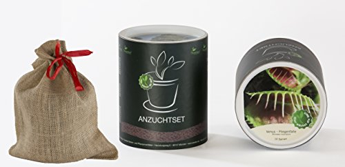 Seedeo Anzucht-Geschenkset Venus - Fliegenfalle (Dionaea muscipula)