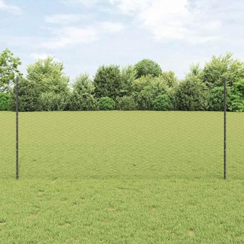 Recinzione da giardino, recinzione in rete metallica, recinzione esterna, recinzione per cani, per esterni, recinzione con palo grigio 1,2 x 25 m, in acciaio per balcone, area ricreativa pubblica