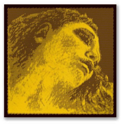 CUERDA VIOLA - Pirastro (Evah Pirazzi Gold 425221) (Plata) 2ª Medium Viola