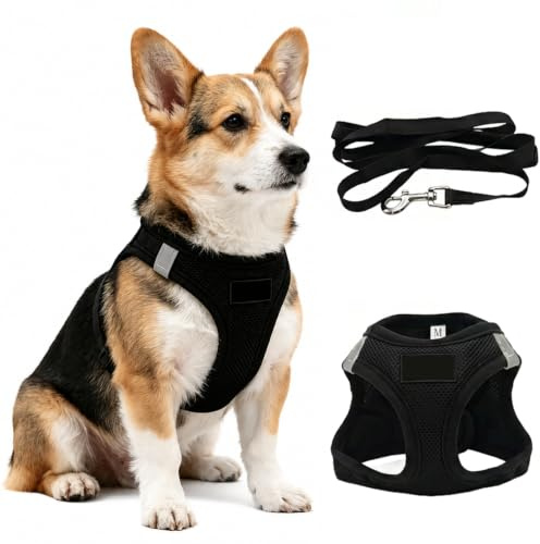 ZenithCove Harnais Petite Chien avec Laisse, Harnais Chiot Anti Traction