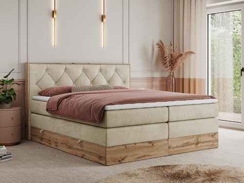 MKS MEBLE King Boxspringbett 200x200 mit Kopfteil und Bettkasten, Polsterbett mit Matratze H3 und Topper T25, Wotan Eiche Dekor - Beige Velvet - Veneto King