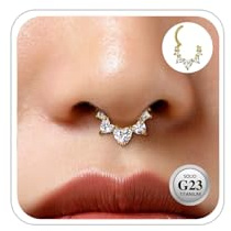ESHIONER G23 Titanio Joyas Piercing Concha Hélice Aro Tabique Rook Tragus Piercing Anillo Nariz Hipoalergénico Segmento Bisagra Clicker 16G 8/10/12MM Plata Oro Doble Aro Pendientes Cartílago Mujer
